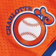 Cal Ripkin Jr. Carolina Orioles Throwback Minor League Jersey